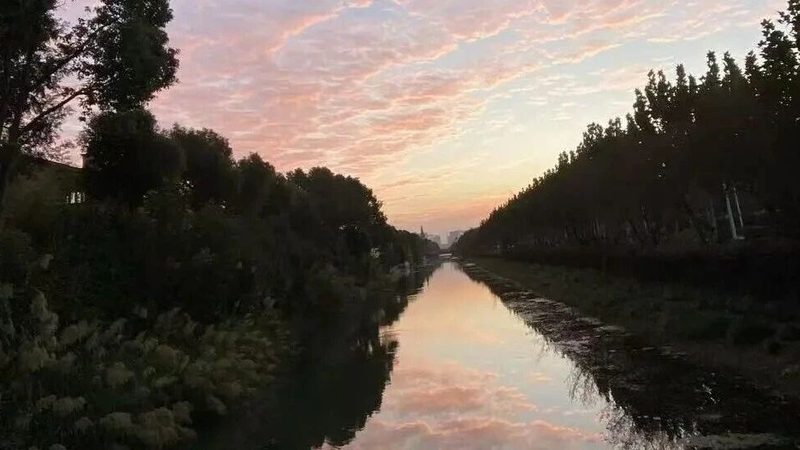 深圳专利费用减缴申请书撰写指南：关键要素与流程解析